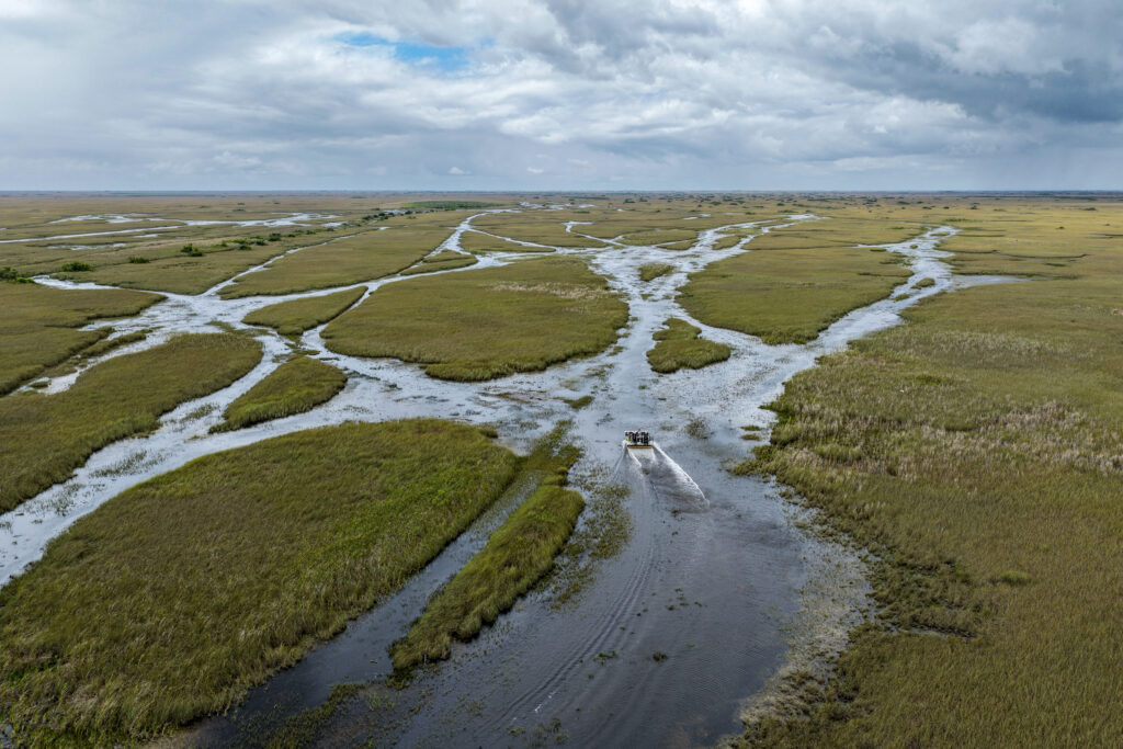 In Florida’s Gubernatorial Race, a Choice Between New Climate Policy or the Status Quo