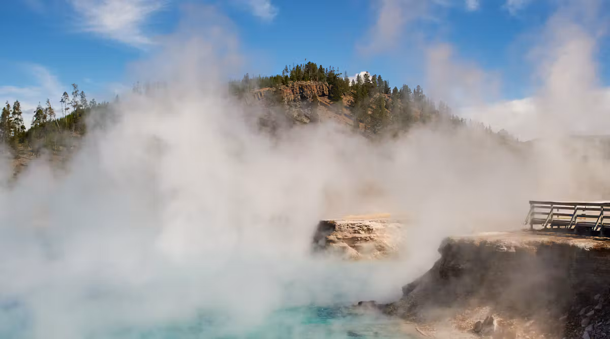 We discovered an organism that lives at blistering temperatures – but what allows it to take the heat?