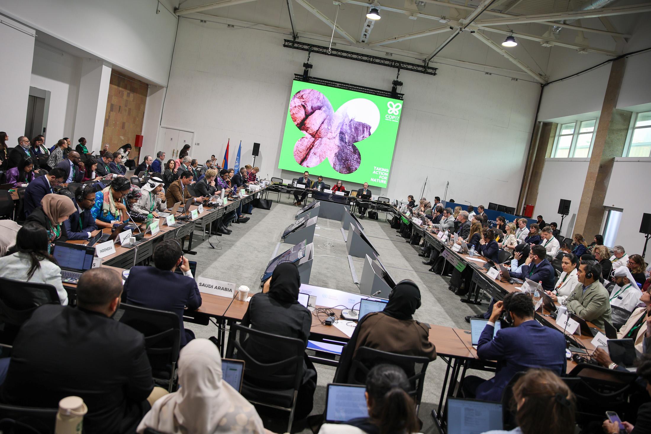 Stalemate on finance at COP17 nature talks exposes need for new sources